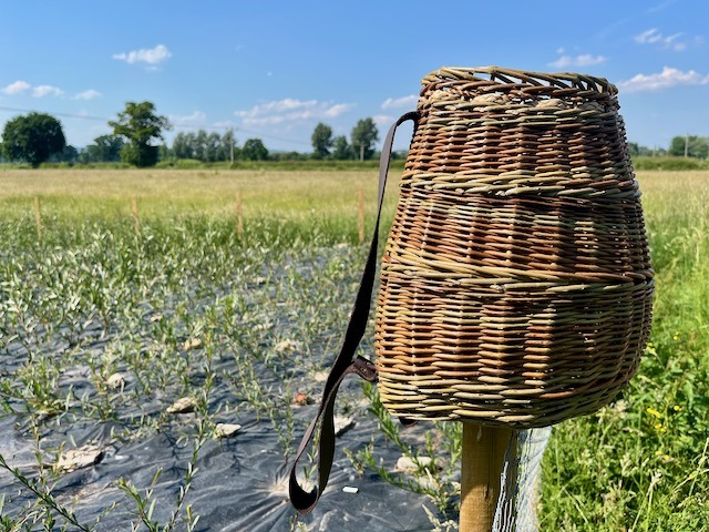 Backpack sat on fence post next to the willow bed