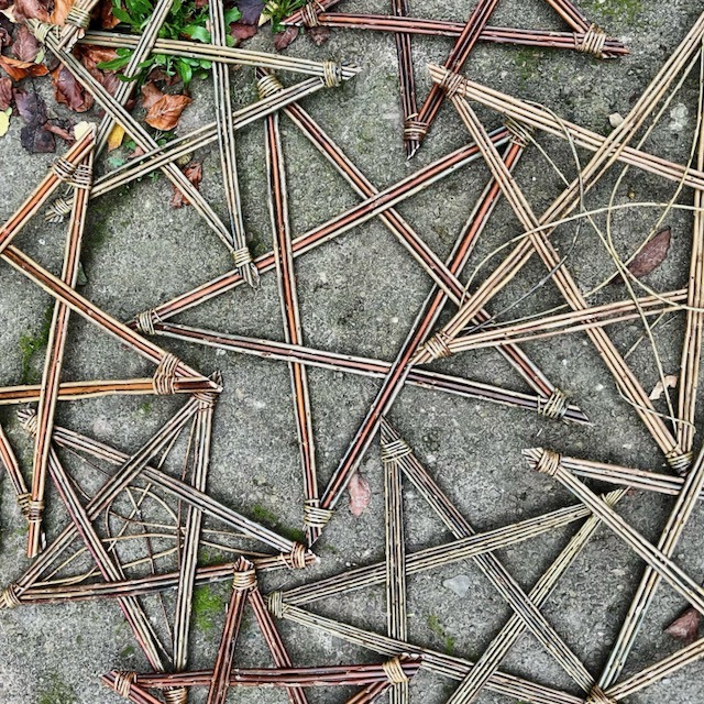 Brown Willow stars spread out on a concrete floor