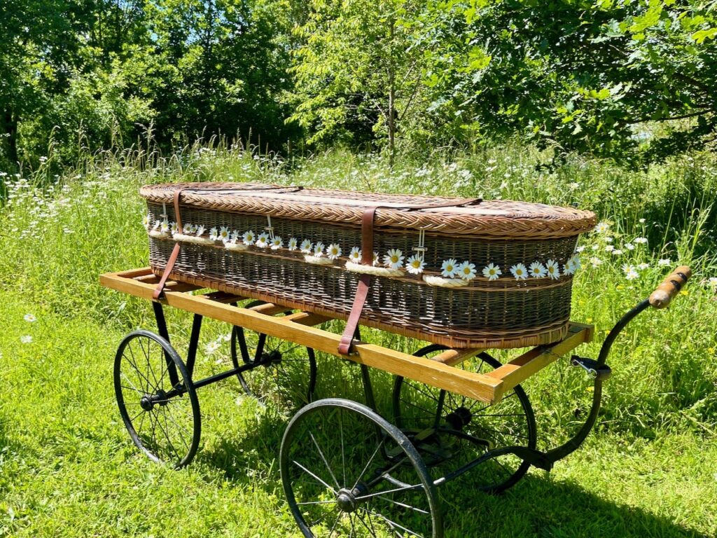 Coffin with daisies inserted on a bier in the sunshine at Humber Woodland of Remebrance