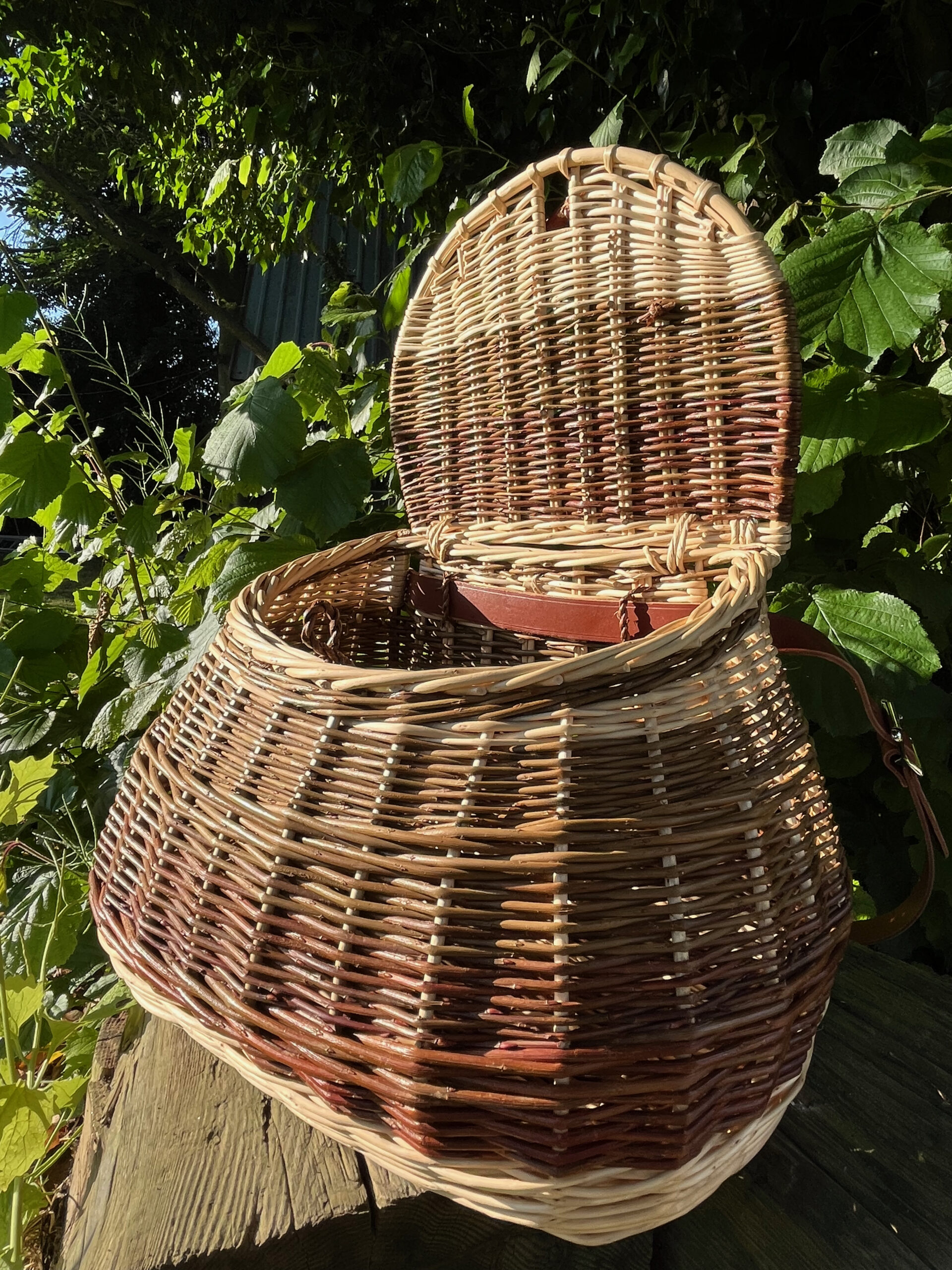Red, brown and white Fishing creel with lid open on a log