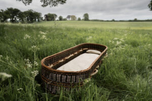 Coffin without the lid, in a grassy meadow, showing the mattress and pillow used on blog page