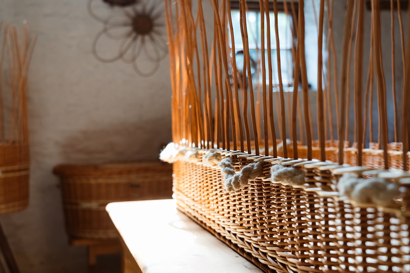 Morning light shining on a willow coffin and showing woollen handle detail